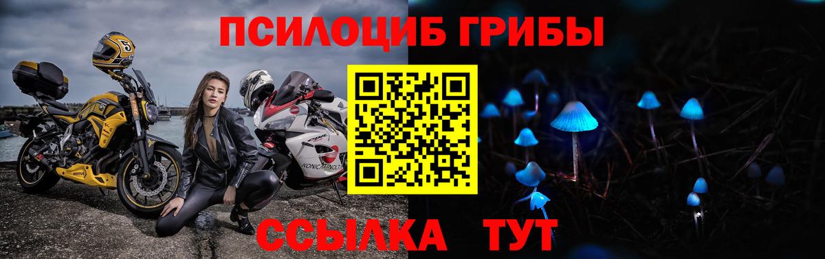 Псилоцибиновые грибы MAGIC MUSHROOMS  купить закладку  Белая Калитва  Вход с VPN 